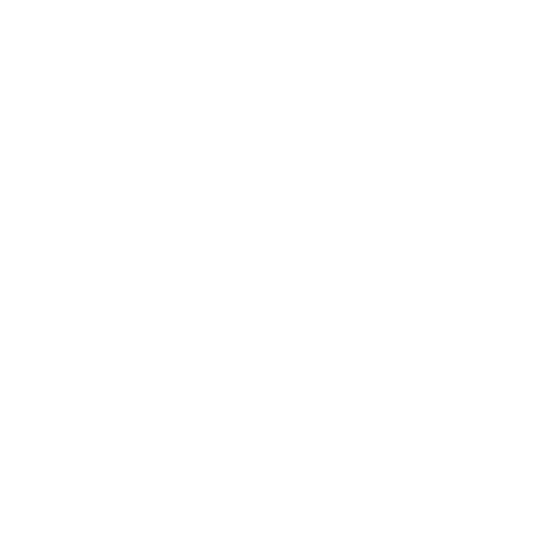 SacocheStore